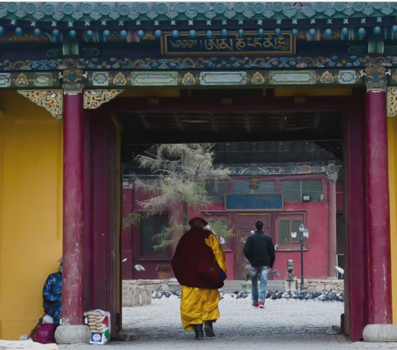 UN Tourism Mongolia