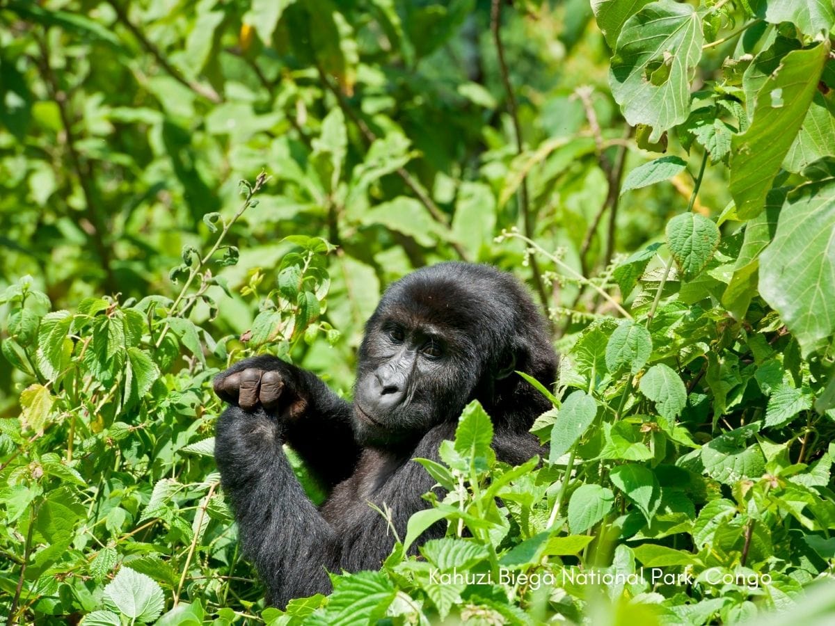 Meaningful Tourism at Sustainable Destinations Forum in Dubai
